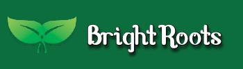 The BrightRoots Logo, a combination of green colors and a plant